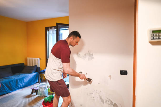 Best Residential Mold Remediation in Elyria, OH